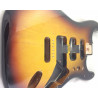 Fender Standard Stratocaster Body Sunburst