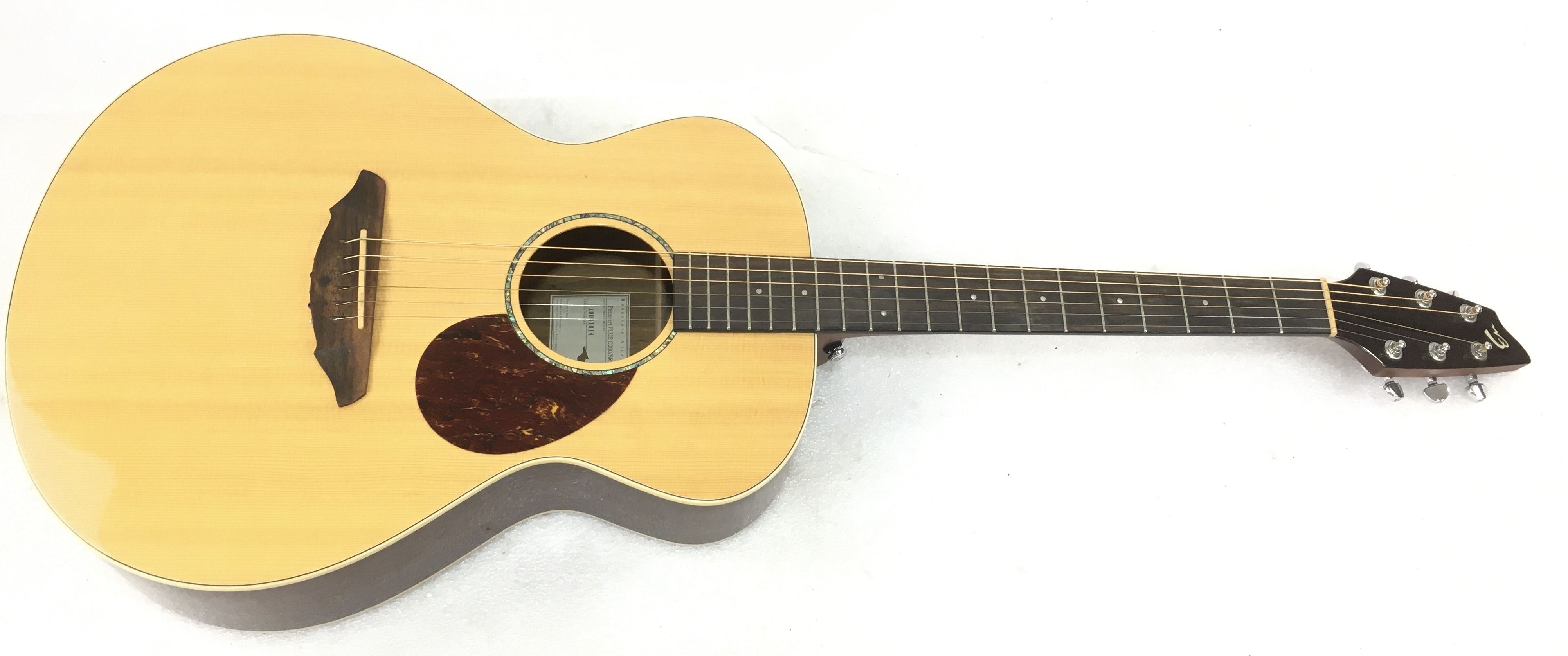 breedlove passport plus c200 sr