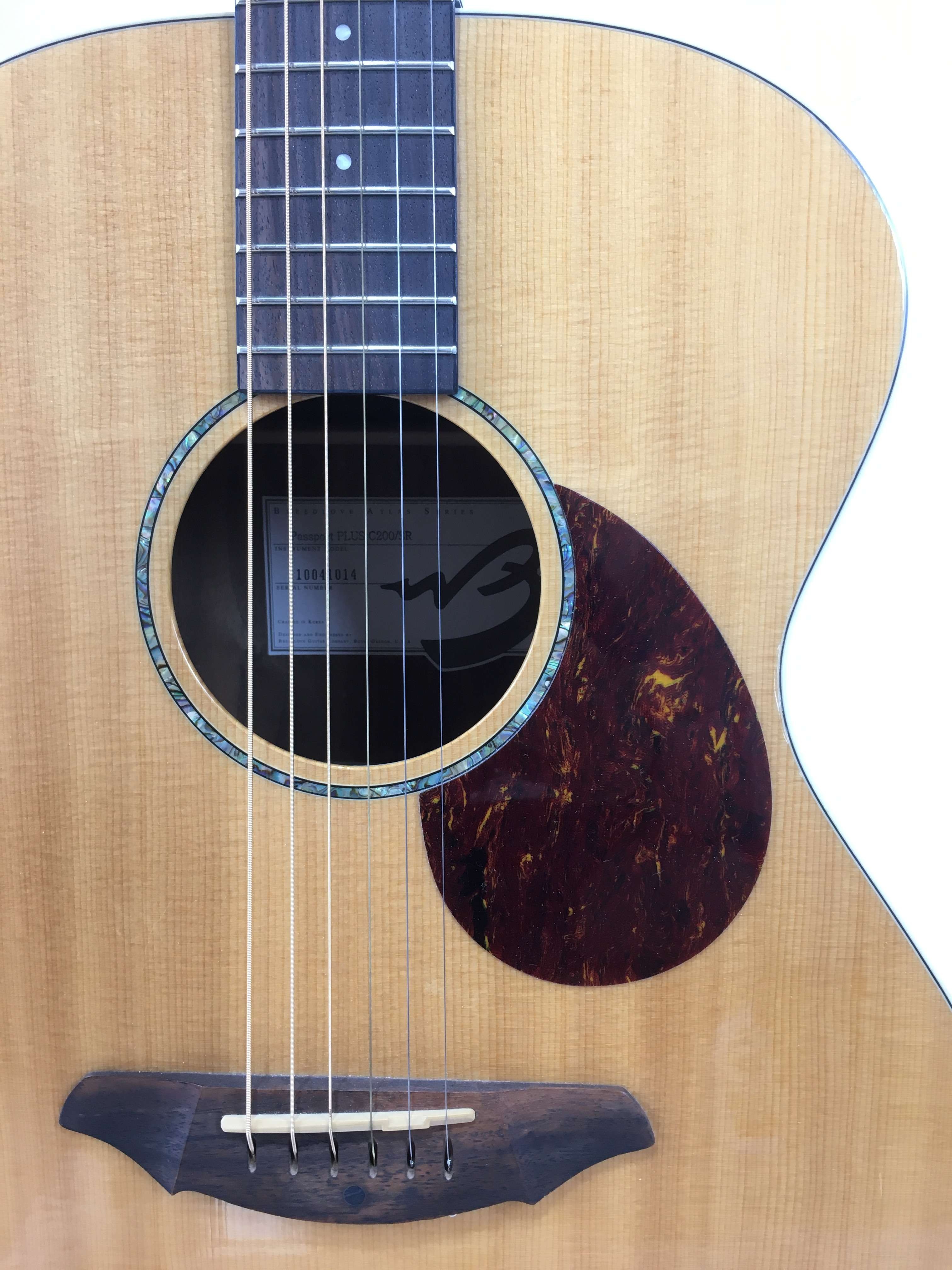 breedlove passport plus c200 sr