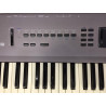 Korg N264