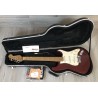 Fender American Standard Stratocaster 50th seriale N61756