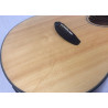 Breedlove Discovery Concert CE