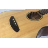 Breedlove Discovery Concert CE