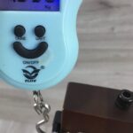 Anygig Travel Guitar