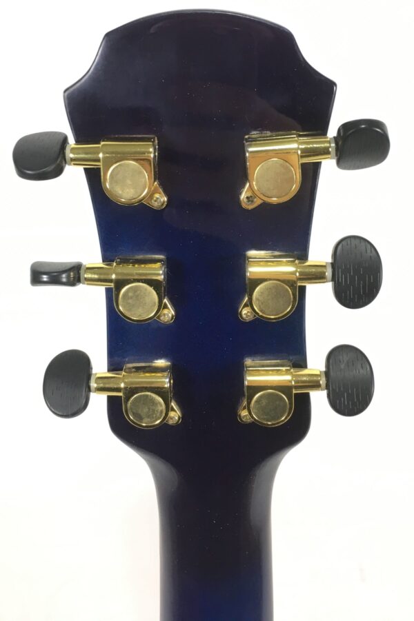 Aria TG-1 SBL