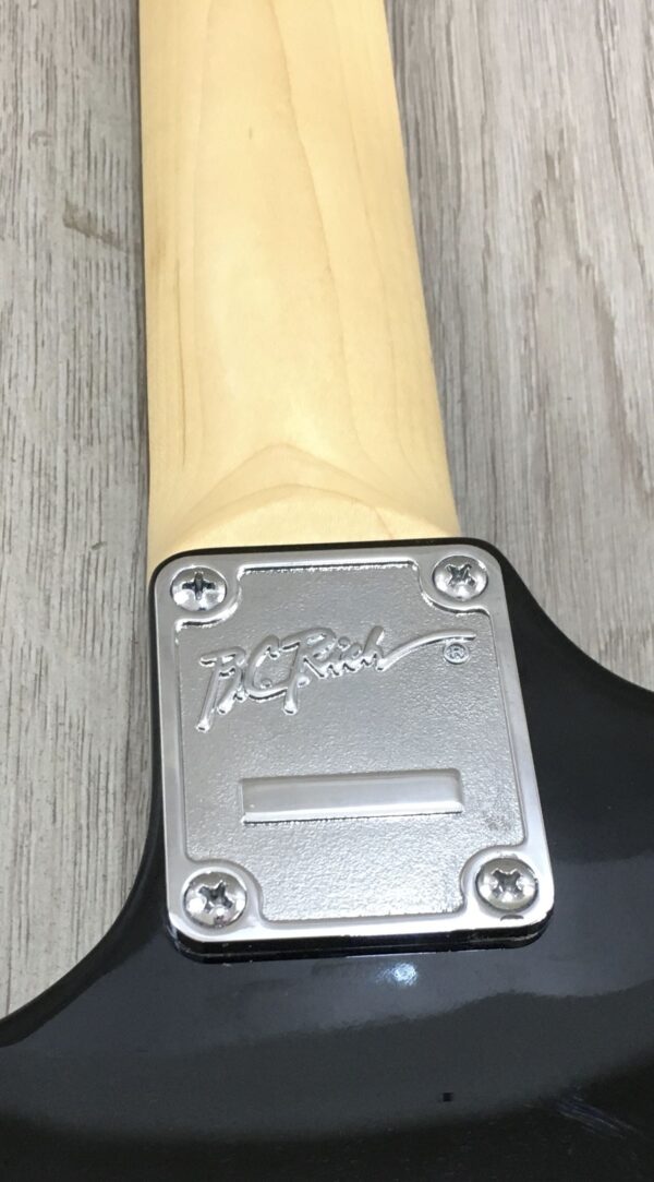 B.C. Rich Assassin ASM