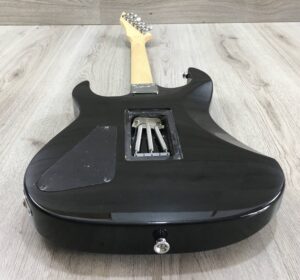 B.C. Rich Assassin ASM