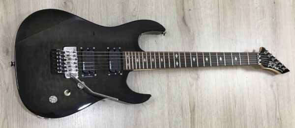 B.C. Rich Assassin ASM