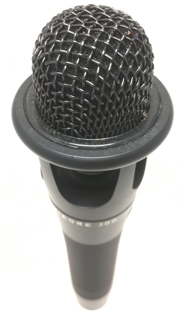 Blue enCORE 300 microfono cardioide a condensatore