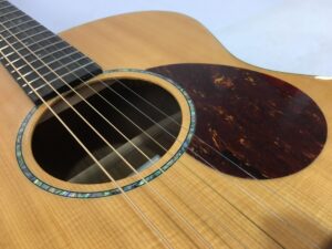 Breedlove Passport Plus C200 SR