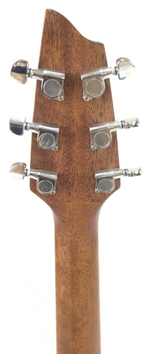 Breedlove Passport Plus C200 SR