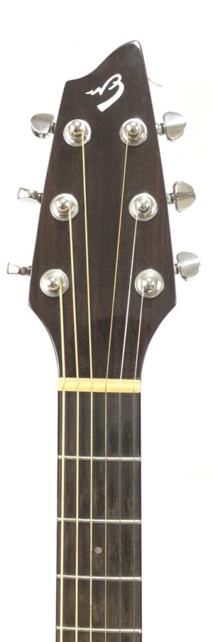 Breedlove Passport Plus C200 SR