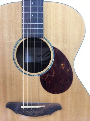 Breedlove Passport Plus C200 SR