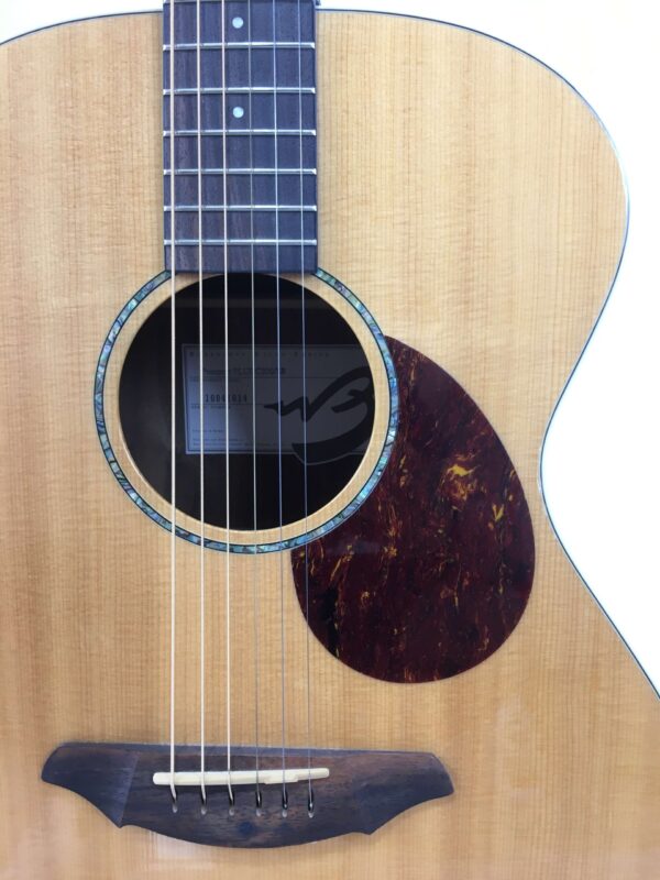 Breedlove Passport Plus C200 SR
