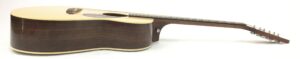 Breedlove Passport Plus C200 SR
