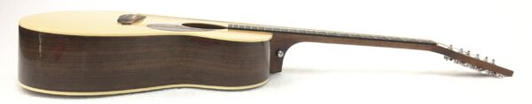 Breedlove Passport Plus C200 SR