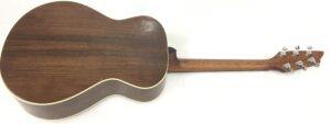 Breedlove Passport Plus C200 SR