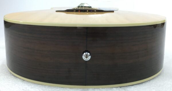 Breedlove Passport Plus C200 SR