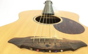 Breedlove Passport Plus C200 SR