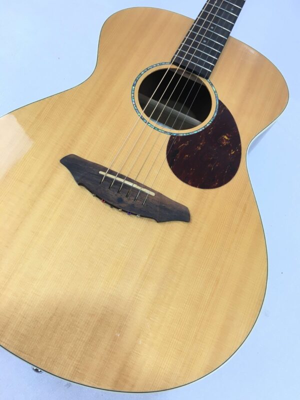 Breedlove Passport Plus C200 SR