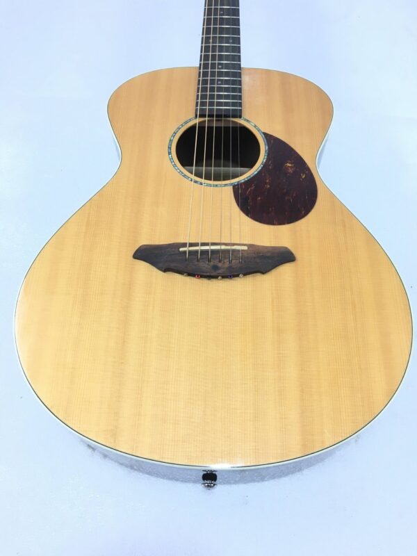 Breedlove Passport Plus C200 SR