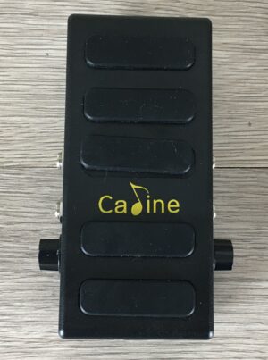 Caline CP-31P Volume pedal e Booster