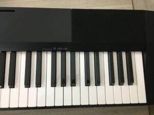 Casio CDP-120