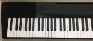 Casio CDP-120