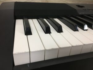 Casio CDP-120