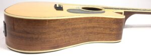 Cort AD880CE Natural Con borsa
