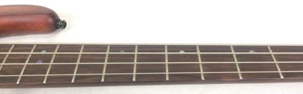 Cort Artisan C4Z