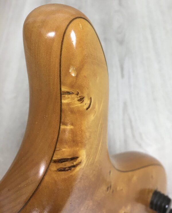Cort Masterpiece ABM P1