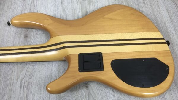 Cort Masterpiece ABM P1
