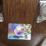 Crafter HD250CE-TS