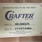 Crafter HD250CE-TS