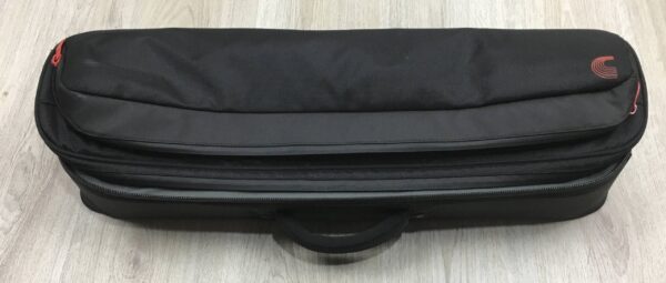 D'Addario XPND 1 Pedalboard con custodia