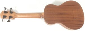 Donner DUB-1 Ukulele Bass Amplificato