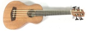 Donner DUB-1 Ukulele Bass Amplificato