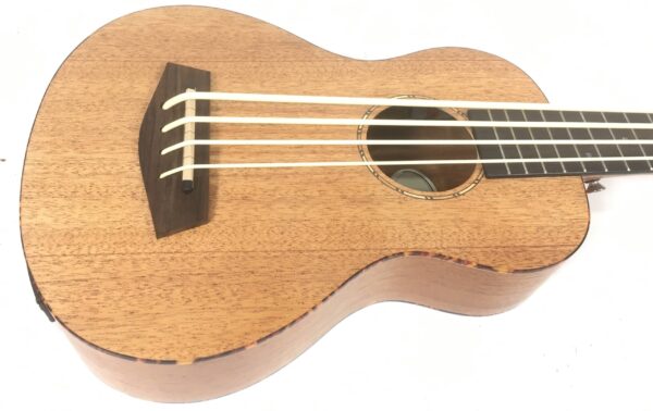 Donner DUB-1 Ukulele Bass Amplificato