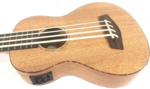 Donner DUB-1 Ukulele Bass Amplificato
