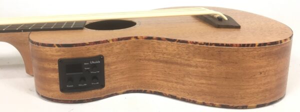 Donner DUB-1 Ukulele Bass Amplificato