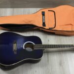 Eko Ranger 6 EQ BLS