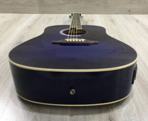 Eko Ranger 6 EQ BLS
