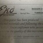 Eko Ranger 6 EQ BLS