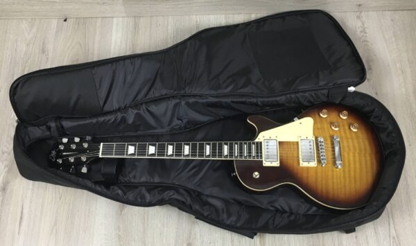 Eko VL-480 Honey Burst Flamed + elettronica CTS
