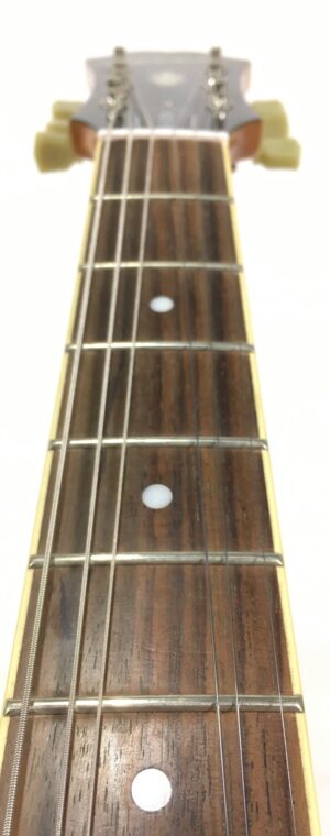 Epiphone ES 339 Pro