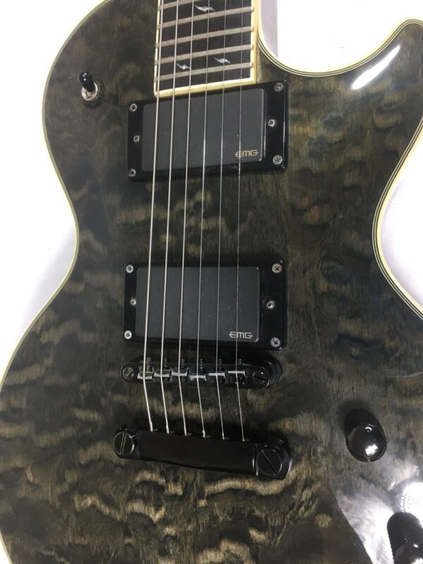 Epiphone Les Paul Custom Prophecy Plus