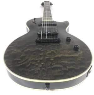 Epiphone Les Paul Custom Prophecy Plus
