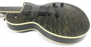 Epiphone Les Paul Custom Prophecy Plus