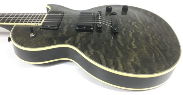 Epiphone Les Paul Custom Prophecy Plus